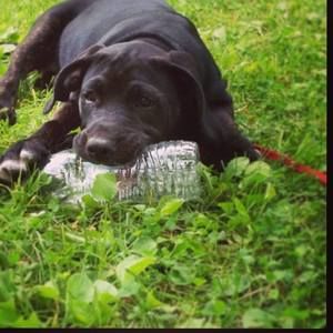 Meet your Posher, Karen